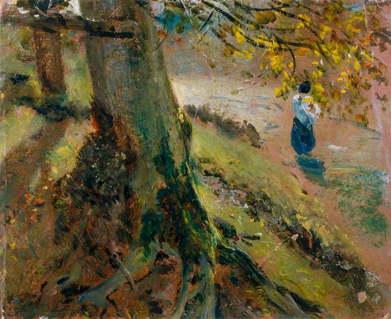 Study of Tree Trunks